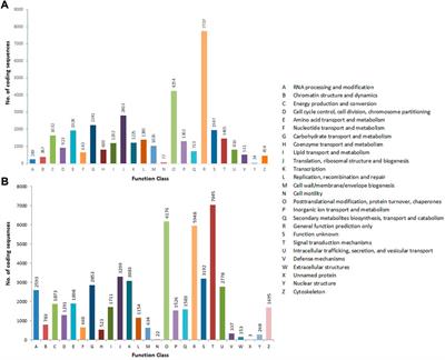 Development of de-novo transcriptome assembly and SSRs in allohexaploid Brassica with functional annotations and identification of heat-shock proteins for thermotolerance